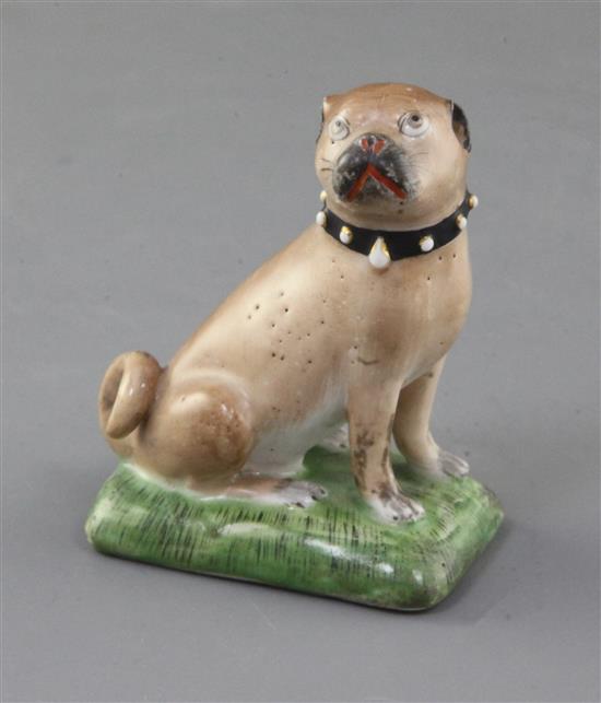 A Derby figure of a seated pug, c.1758, h. 8.1cm, tail restored